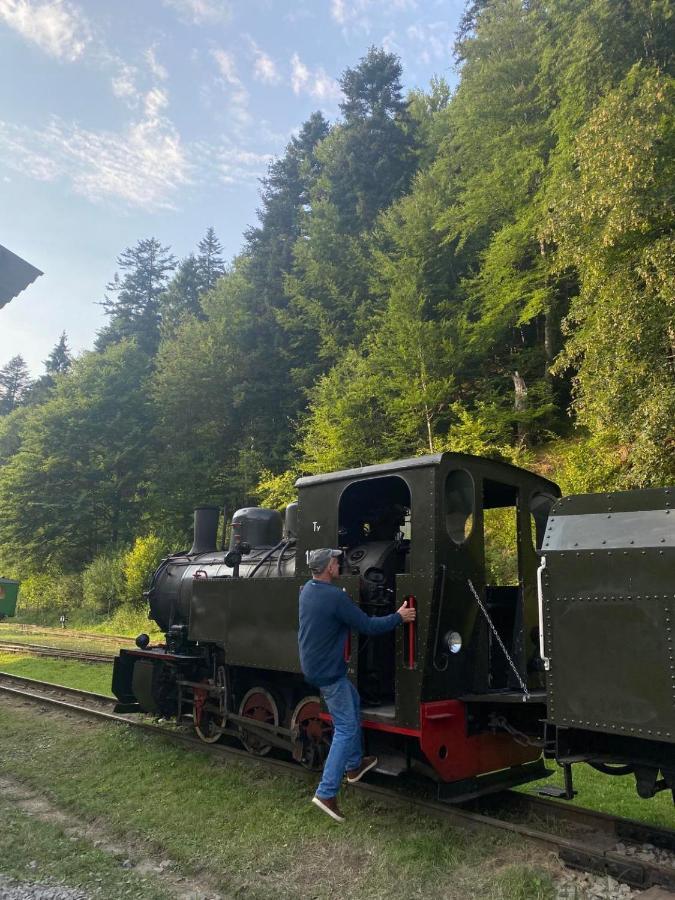 Bieszczadzki Klin Bklin Cisna Exterior foto
