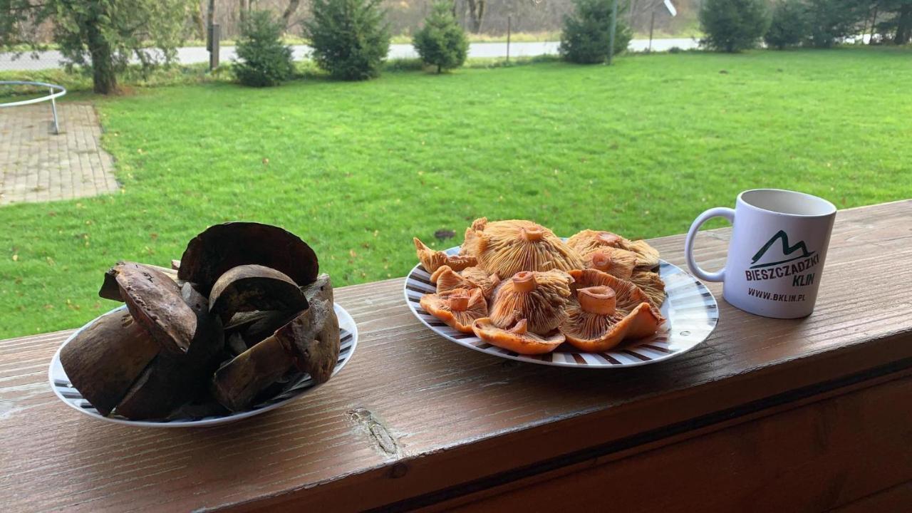 Bieszczadzki Klin Bklin Cisna Exterior foto